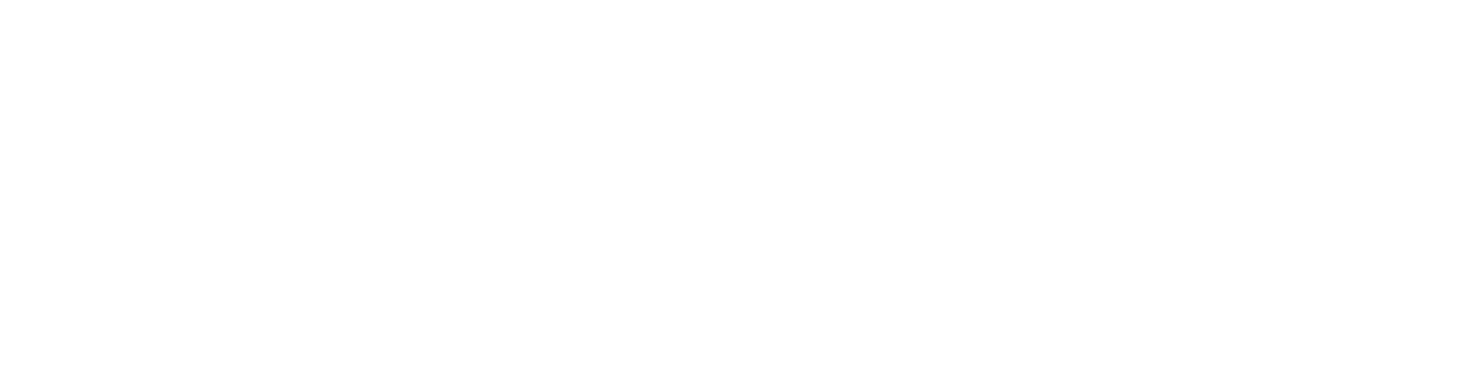 METROLOGIC